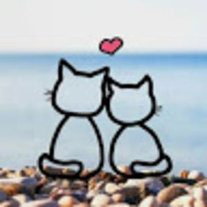 Meet your Posher, Cat